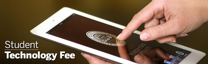 Technology Fees: Understanding What You're Paying For