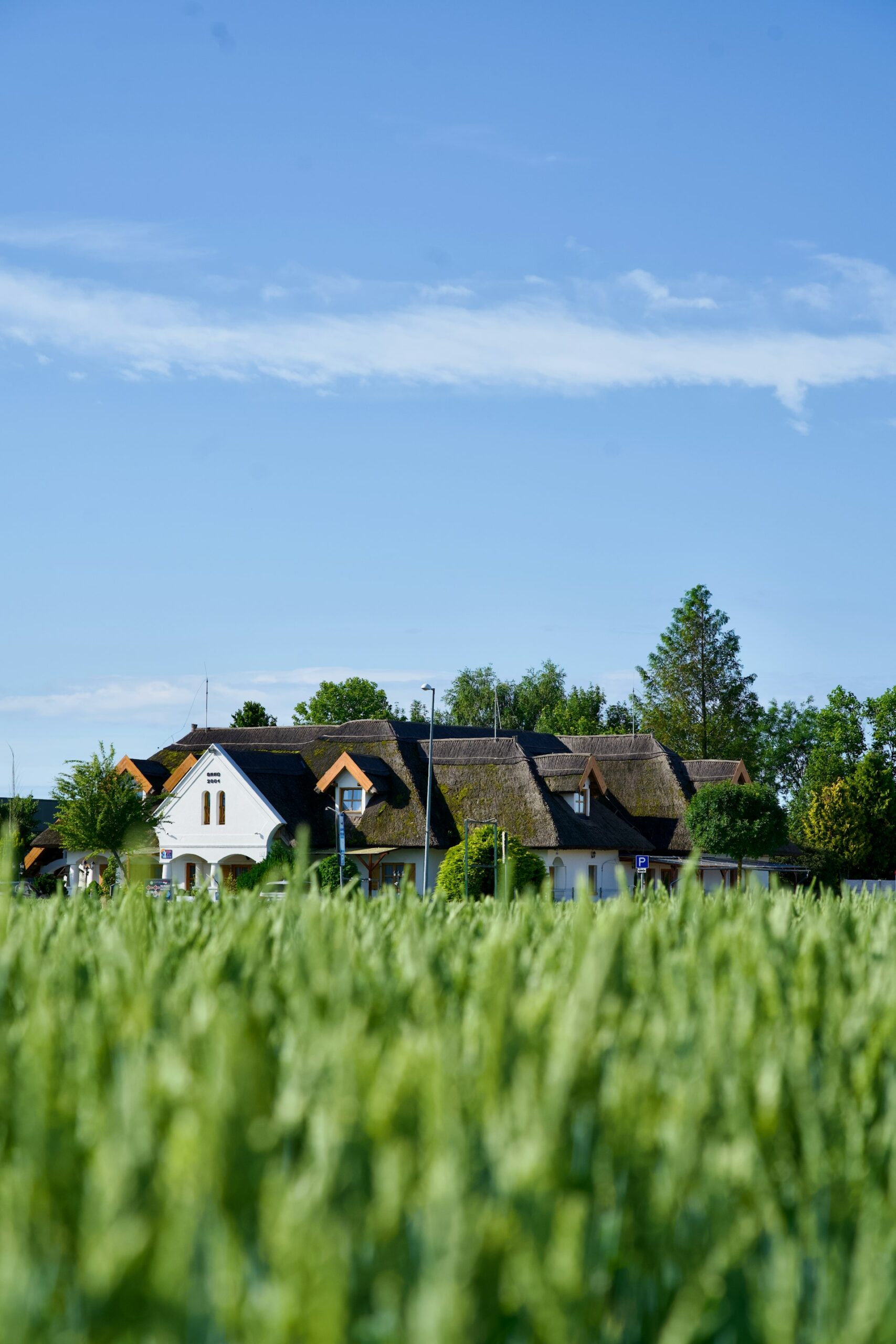 Unlocking Opportunity: A Comprehensive Guide to Eco-Friendly Housing Market Trends and Access Strategies