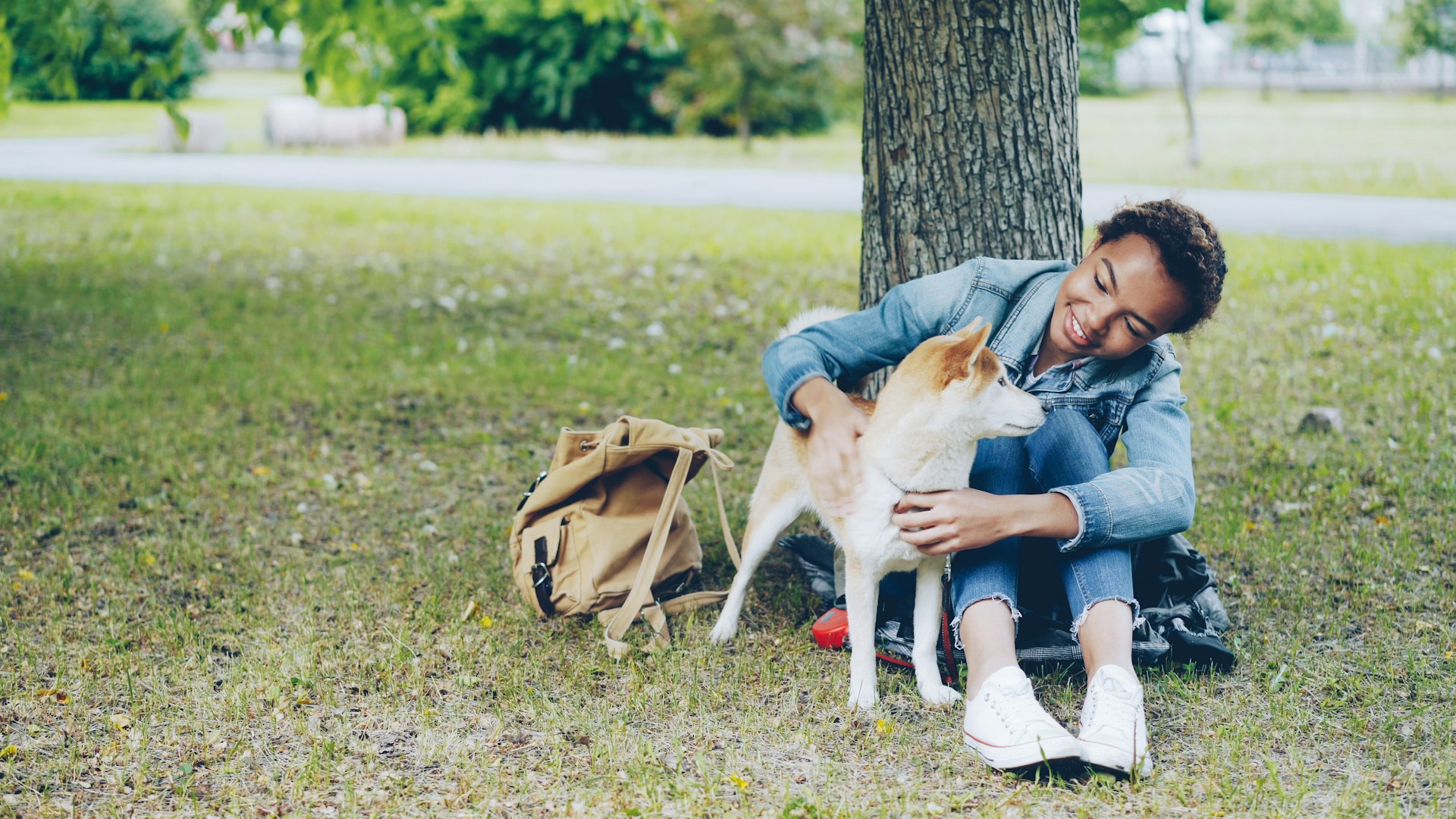How Pets Strengthen Family Bonds: Science, Stories, and Practical Steps