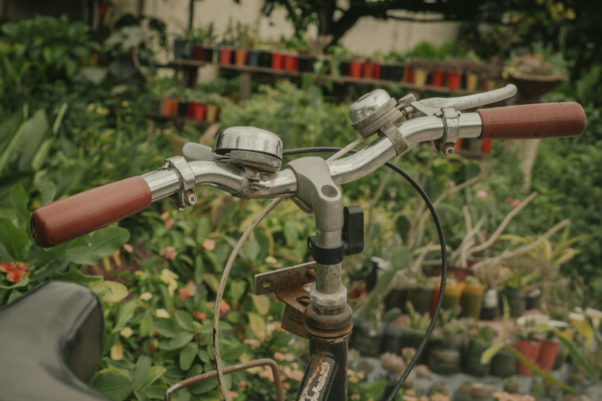Transforming Agriculture: The Impact and Implementation of Robotics for a Smarter, Sustainable Future